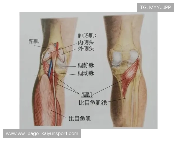 世界举重科研中心发布基层训练损伤预防指南 世界举重科研中心发布基层训练损伤预防指南
